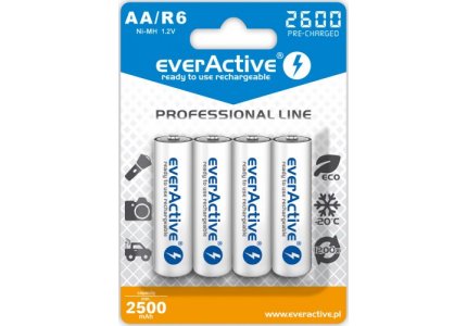 everActive Professional Line R6/AA