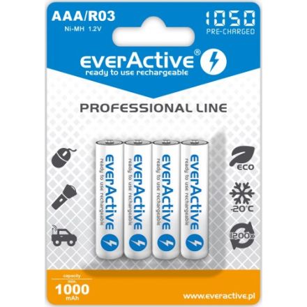 everActive Professional Line R03 AAA