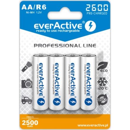 everActive Professional Line R6/AA